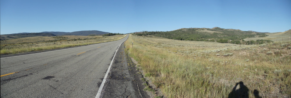 Medicine Bow National Forest.